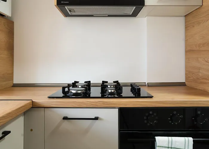 Bcb Aparts Park Vibe * Cluj-Napoca